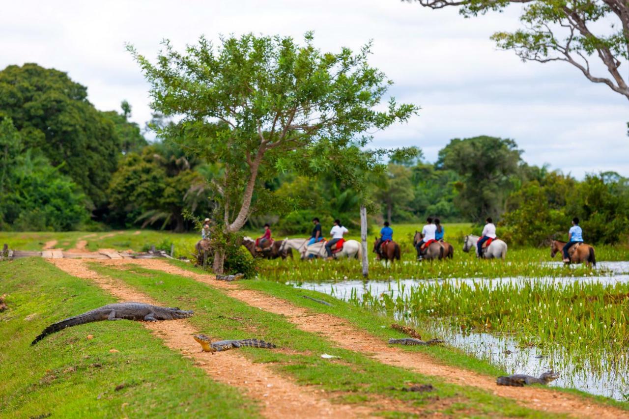 Pousada Piuval Pocone Luaran gambar