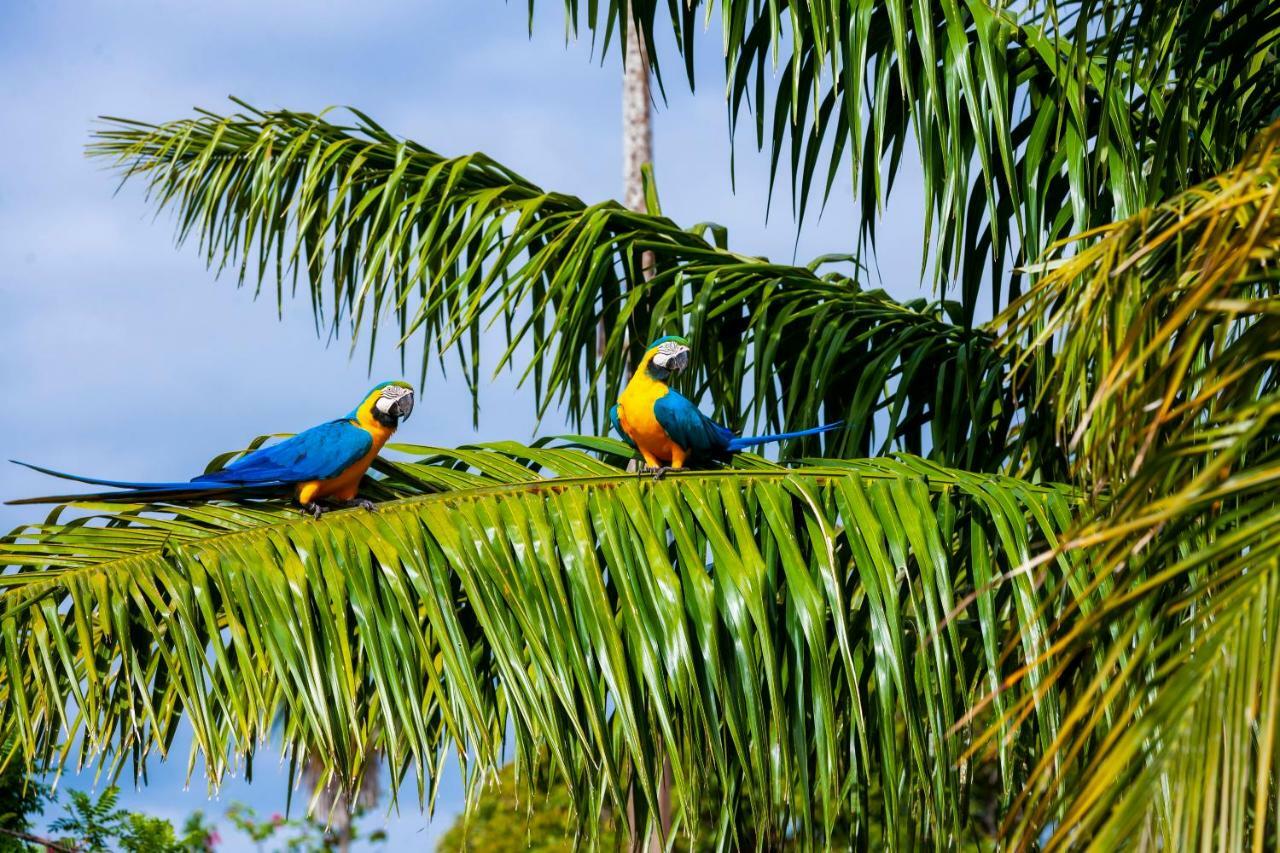 Pousada Piuval Pocone Luaran gambar