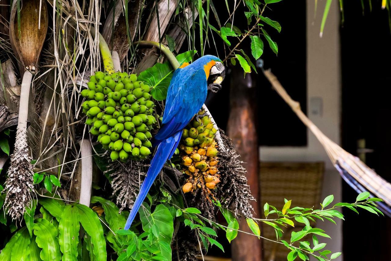 Pousada Piuval Pocone Luaran gambar